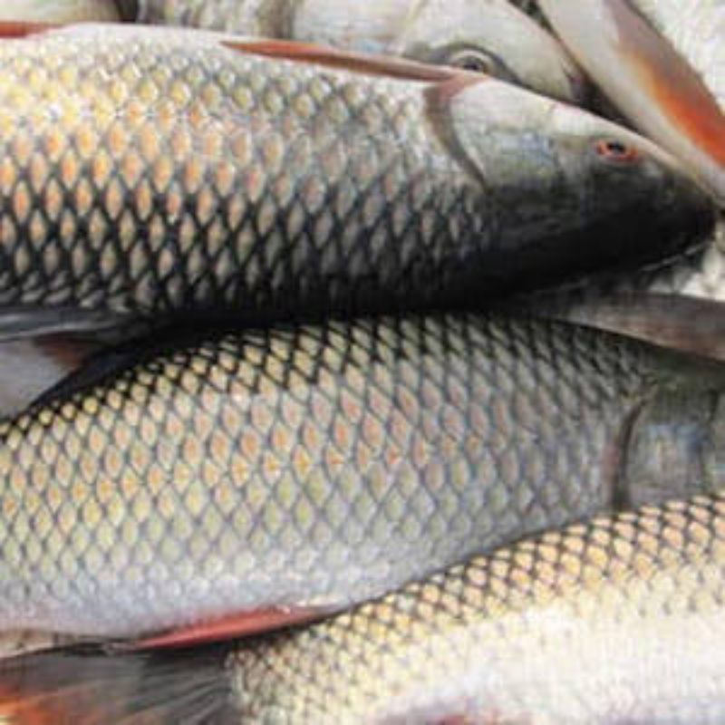 91e00751-56ad-418e-a55b-7230469c738b